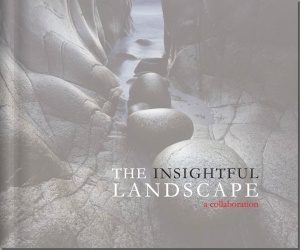 The Insightful Landscape: a collaboration